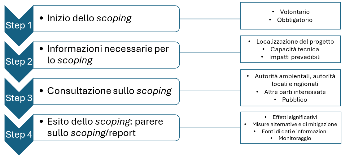 Il processo di scoping. Fonte: Guida allo scoping della Commissione europea, 2017