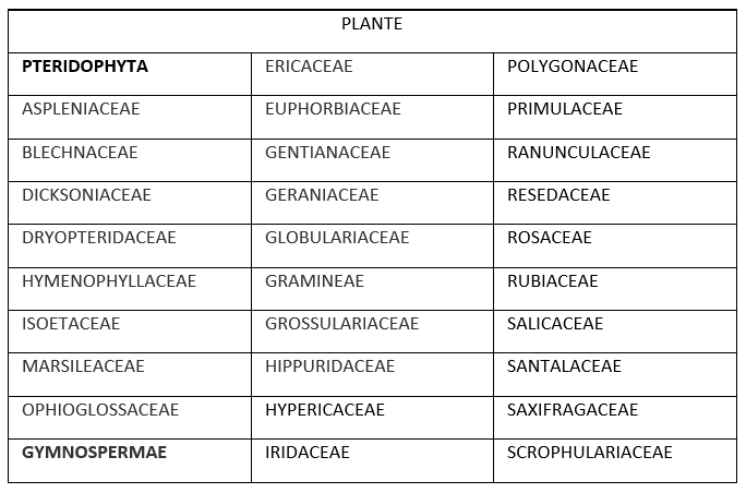 Table 3