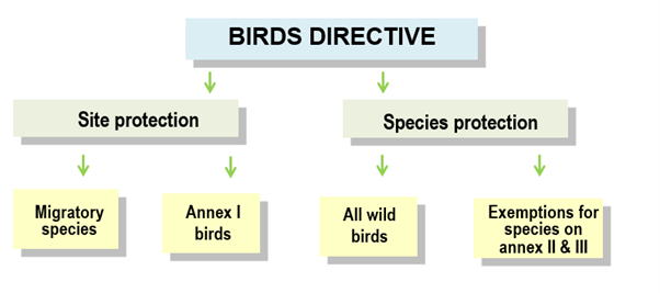 Bird Directive