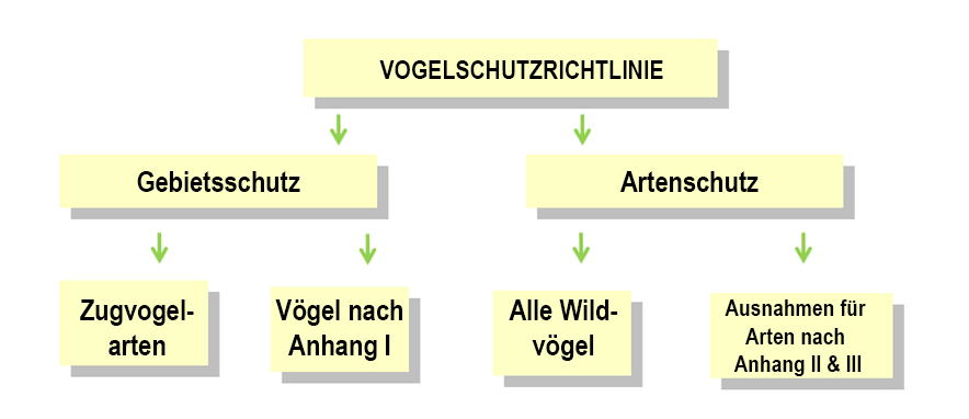 Birds Directive