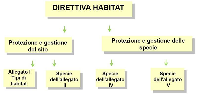 La direttiva Habitat