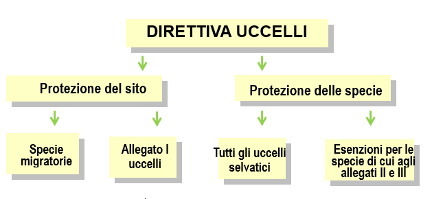 La direttiva Uccelli