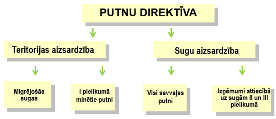 Birds Directive