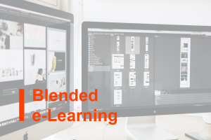 Blended e-Learning on Wildlife Trafficking, Deforestation and Illegal Logging