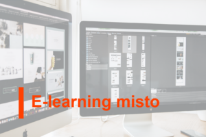 Corso di e-learning misto sull'argomento