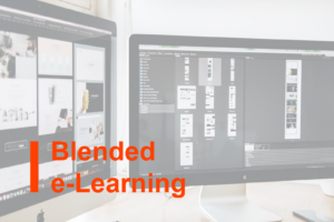 Blended e-Learning pe subiectele menționate anterior