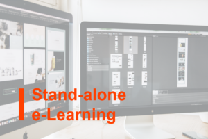 Stand-alone e-Learning course on the topic