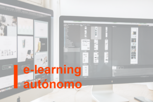 e-learning autónomo sobre los temas mencionados