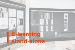 Corso di e-learning stand-alone sull'argomento