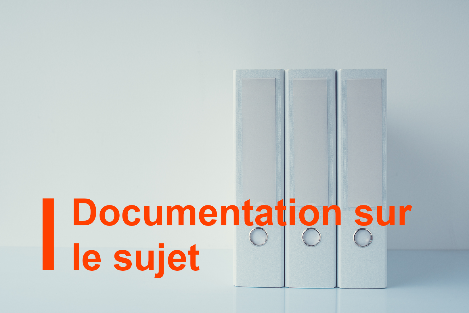 Documentation sur les thèmes (législation recueillie, jurisprudence de la CJUE, documents et rapports politiques, lignes directrices de mise en œuvre et fiches d'information)