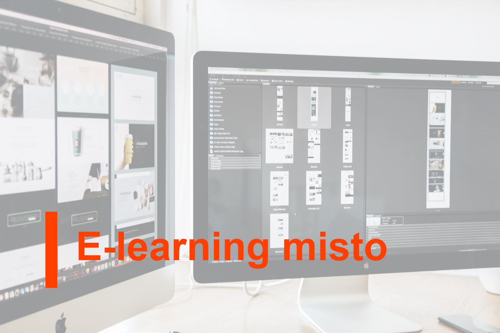 e-Learning misto: Introduzione al Diritto ambientale dell’ EU