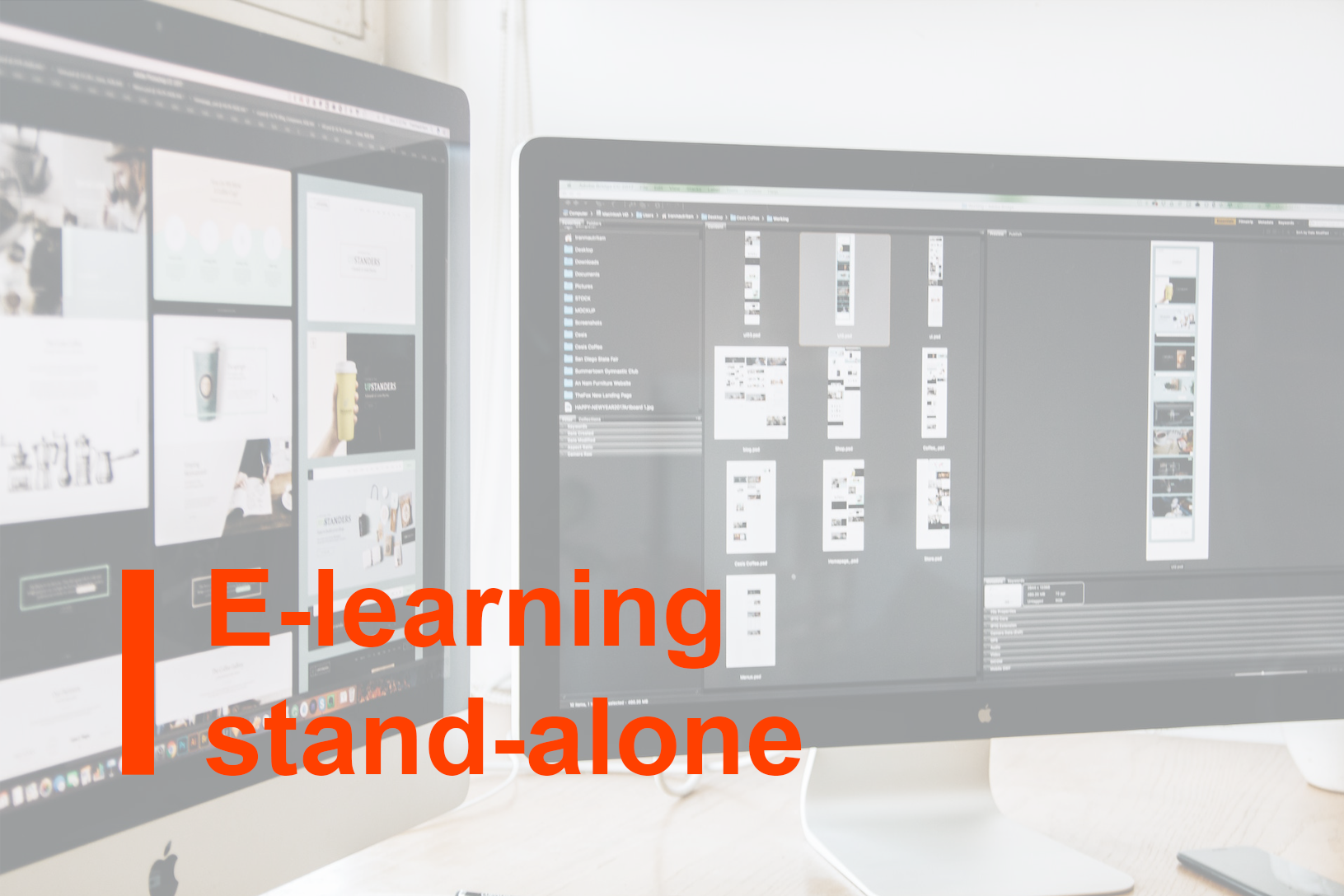 e-Learning stand alone: Introduzione al Diritto ambientale dell’ EU