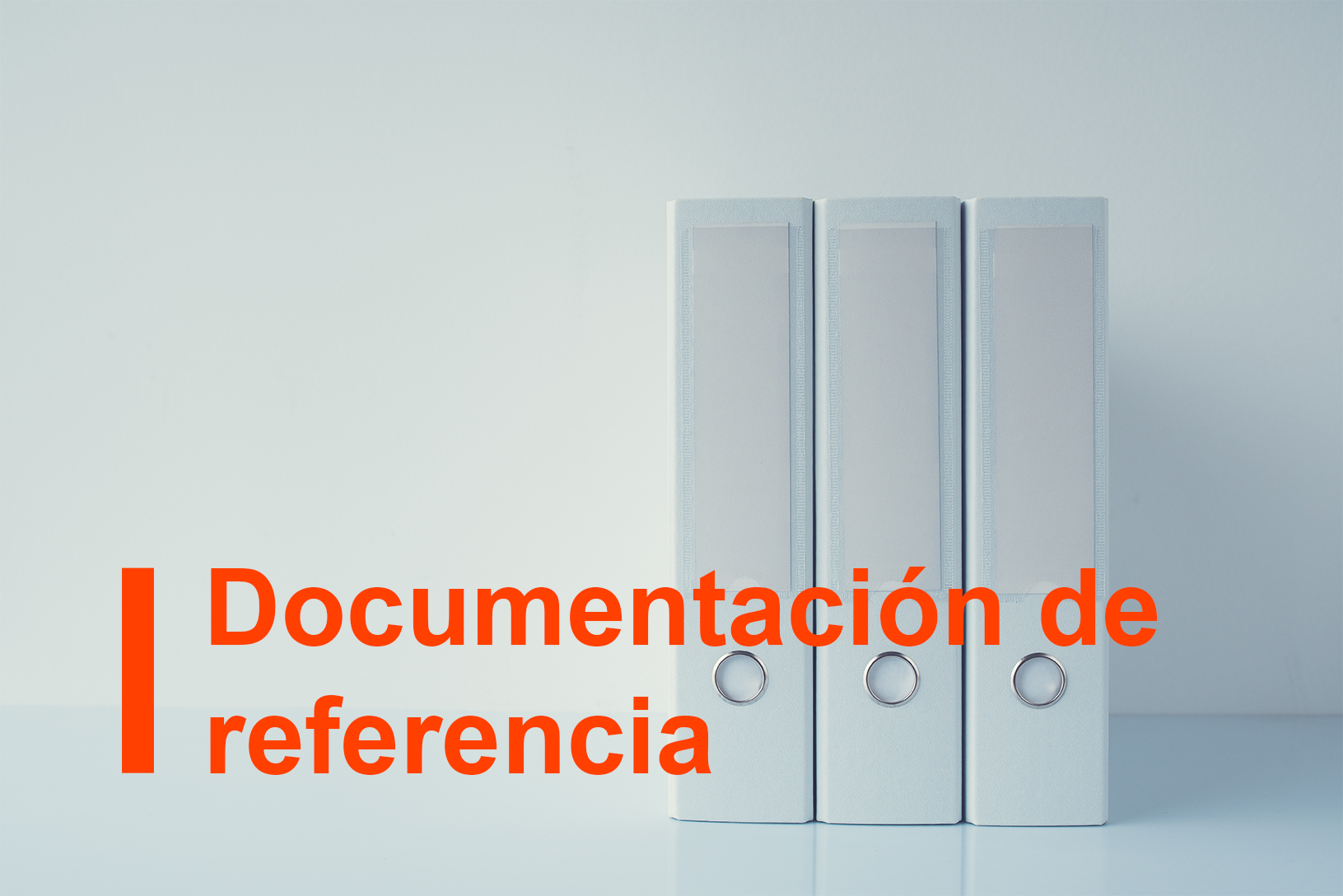 Documentación sobre el tema (legislación recopilada, jurisprudencia del TJUE, documentos e informes políticos, directrices de aplicación y fichas informativas)