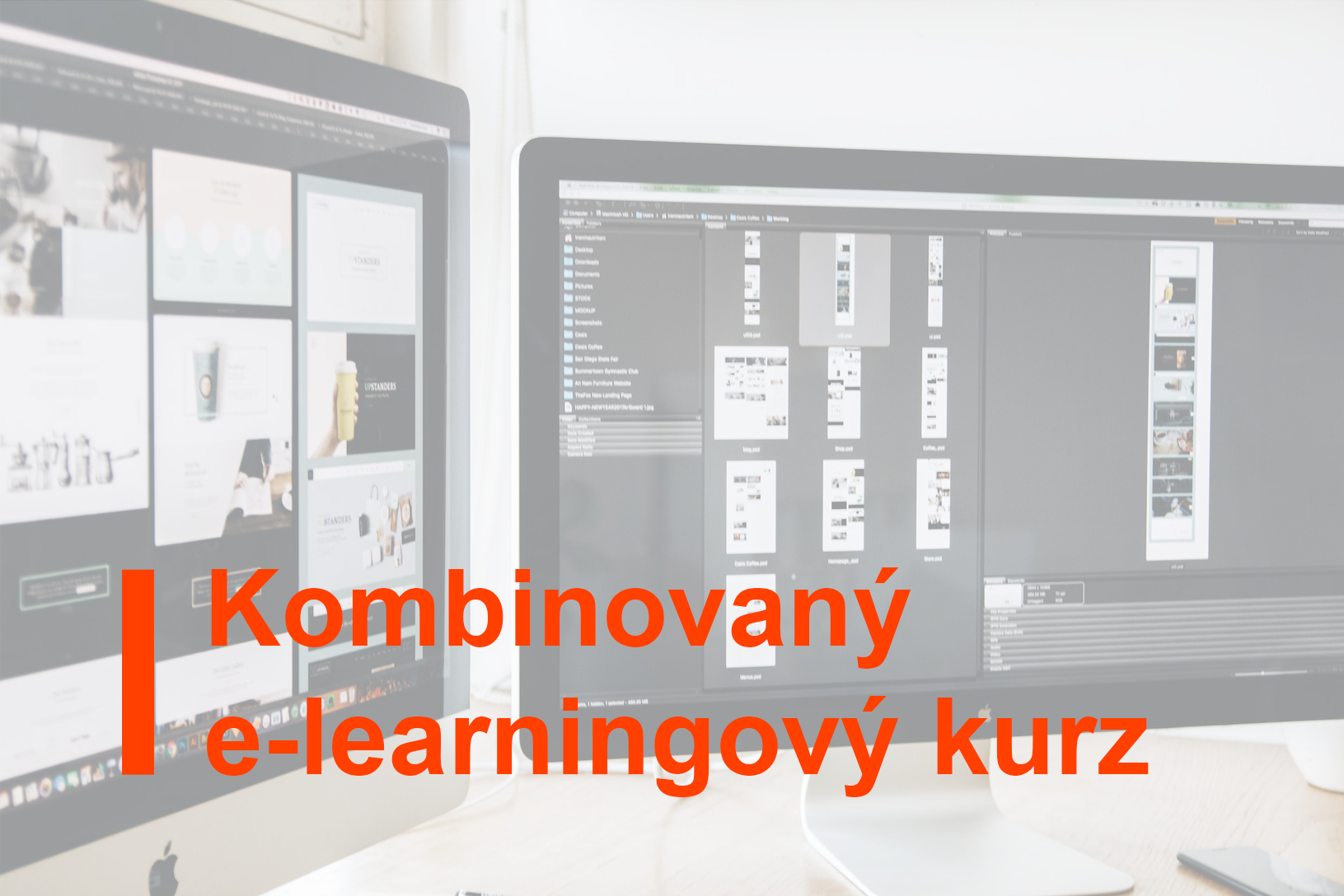 Kombinovaný e-learningový kurz: Úvod do práva EÚ v oblasti životného prostredia a požiadaviek na posudzovanie vplyvov na životné prostredie