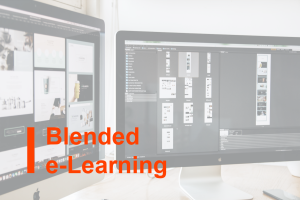 Blended e-Learning course on the topic