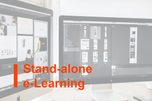 Stand-alone e-Learning course on the topic
