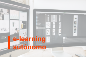 e-learning autónomo sobre los temas mencionados