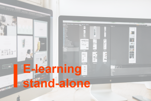 Corso di e-learning stand-alone sull'argomento