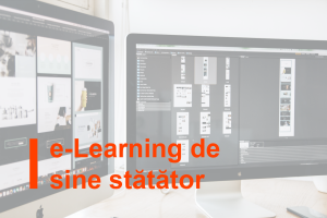 e-Learning de sine stătător pe subiectele menționate anterior